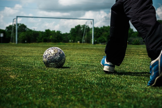 新星泰瑞斯 新星泰瑞斯