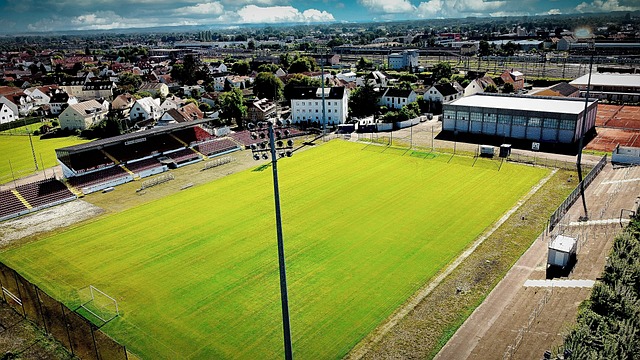 多的優秀球 多的優秀球