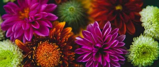 解了福克斯 解了福克斯