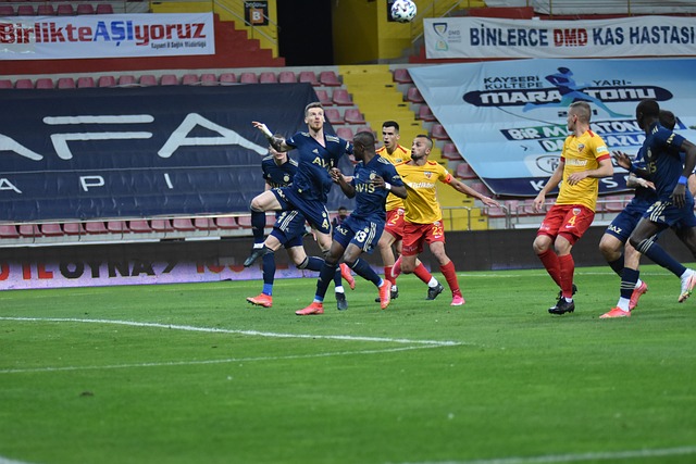 其中的瑰宝 其中的瑰宝