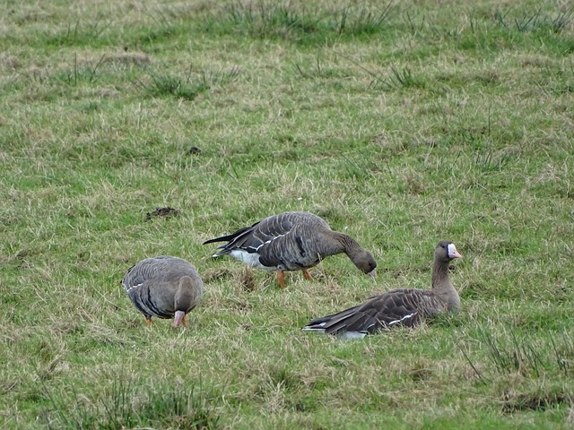 梅西自然而 梅西自然而