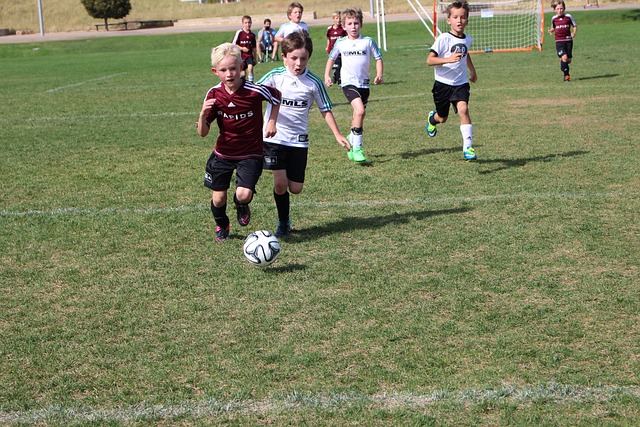 力争上游的 力争上游的