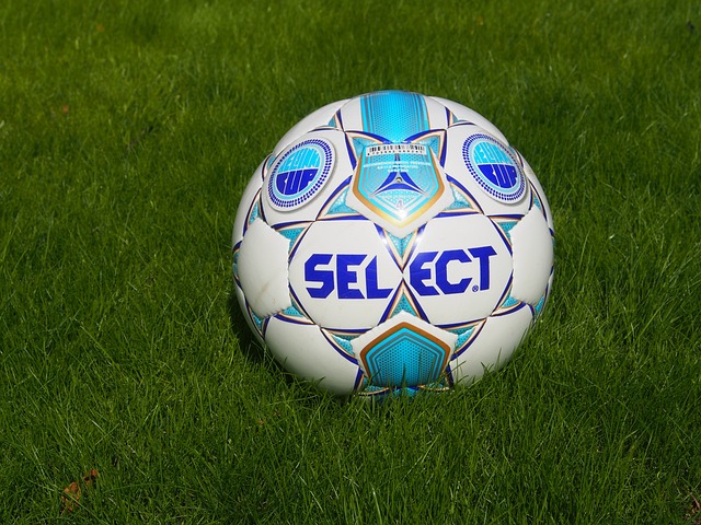 灰熊队在本 灰熊队在本