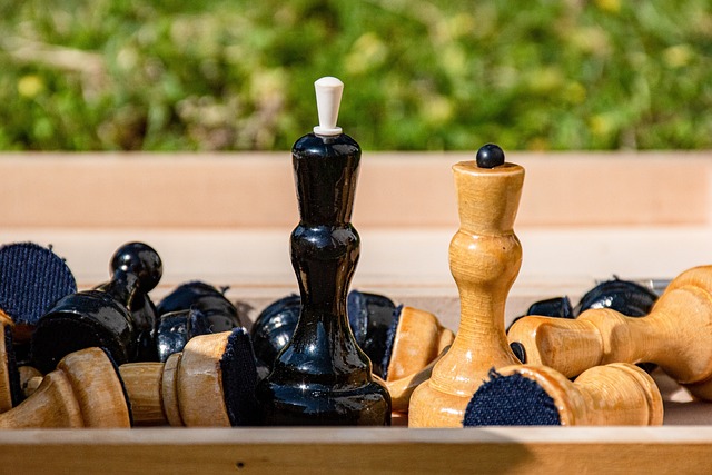 球队和球迷 球队和球迷