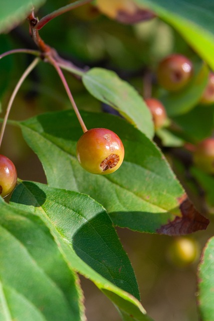次抉择的时 次抉择的时