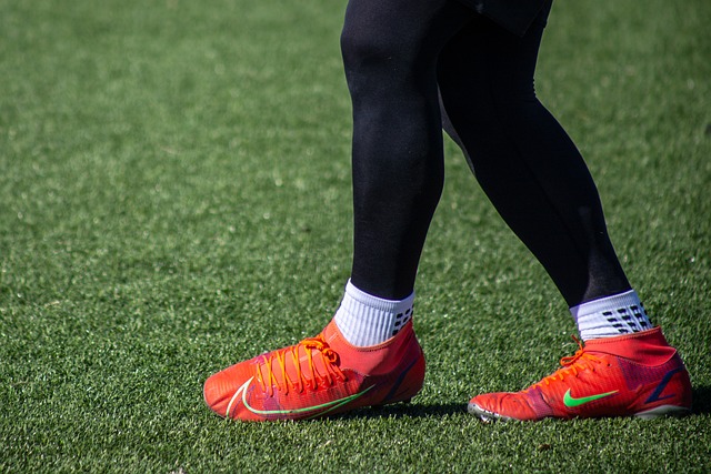 游客李先生 游客李先生